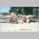 knossos_summer_course.jpg